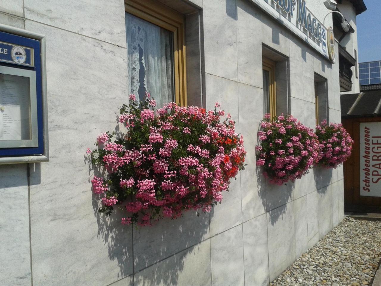 Отель Gasthof Magg Biberbach  Экстерьер фото